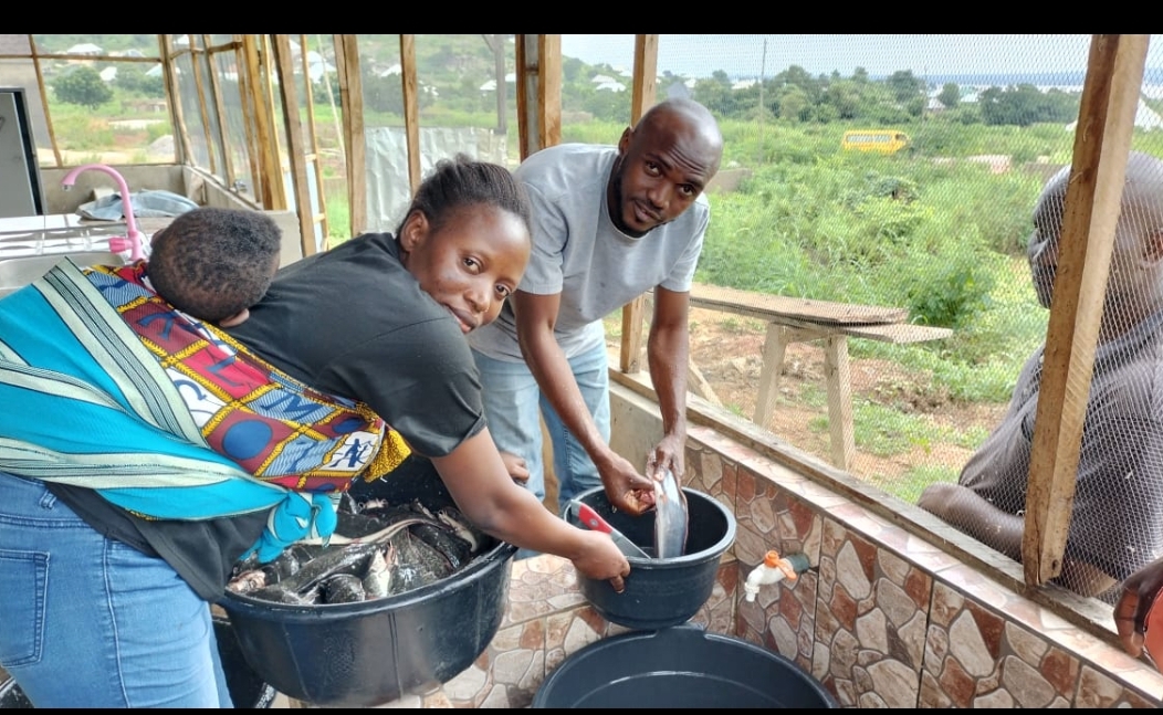 Catfish Farming and Processing: A Thriving Industry in Nigeria