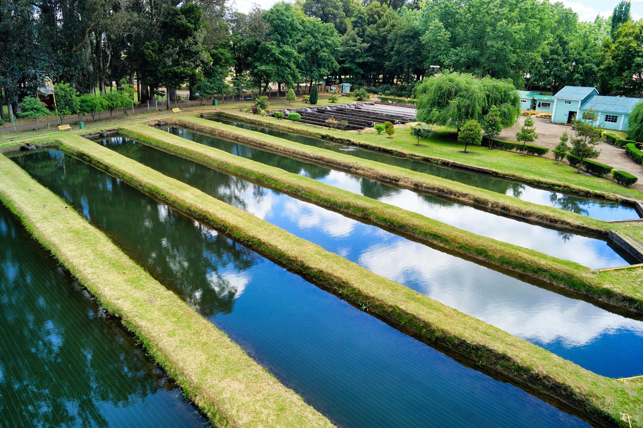 Duketrah Aquaculture