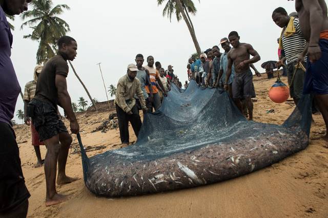 Overfishing-in-West-Africa